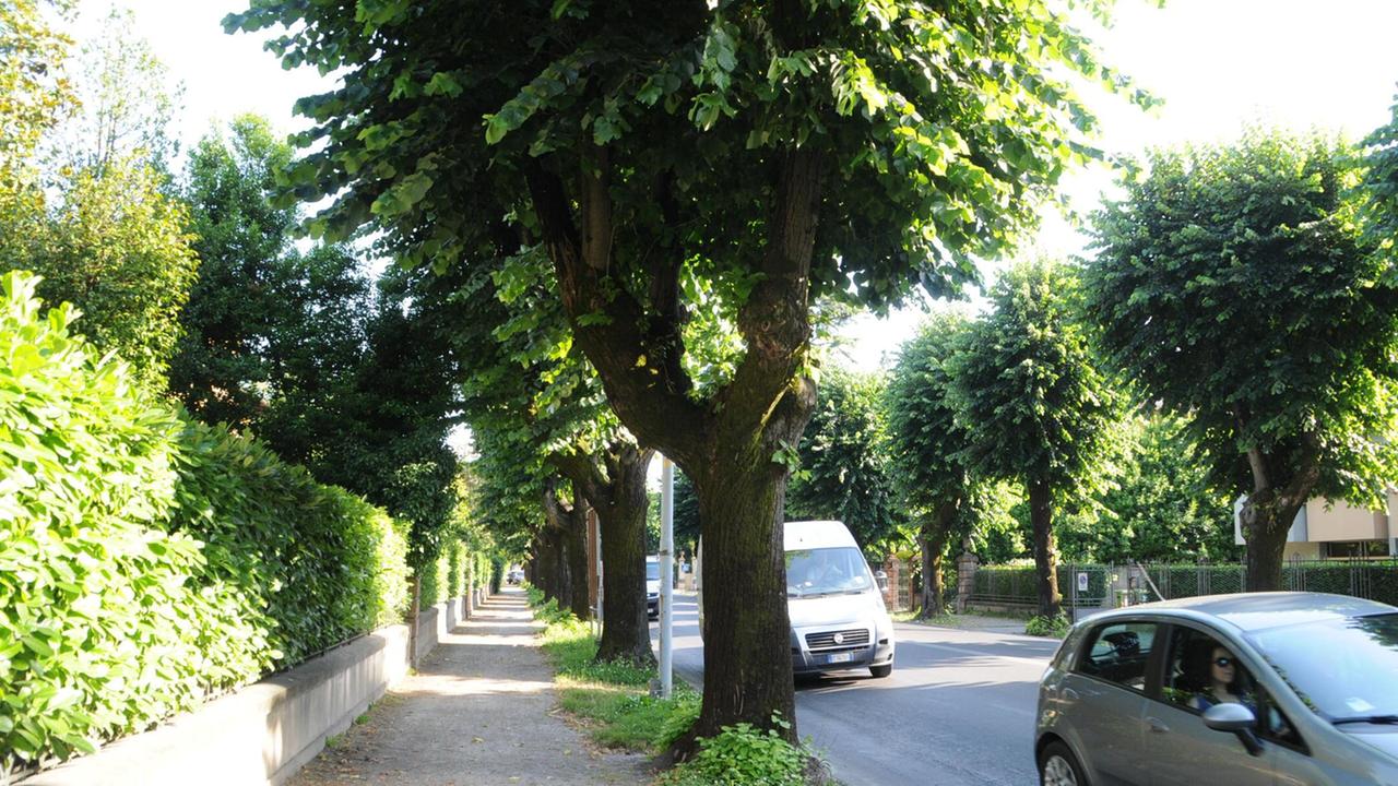Via Matteo Civitali