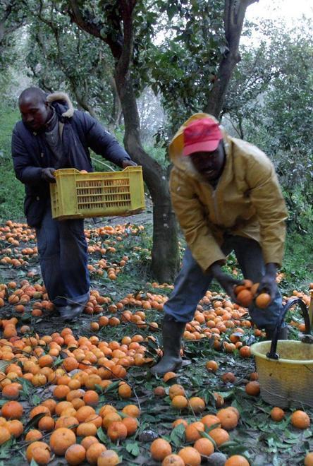Niente soldi a chi lavora con i caporali