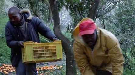Niente soldi a chi lavora con i caporali