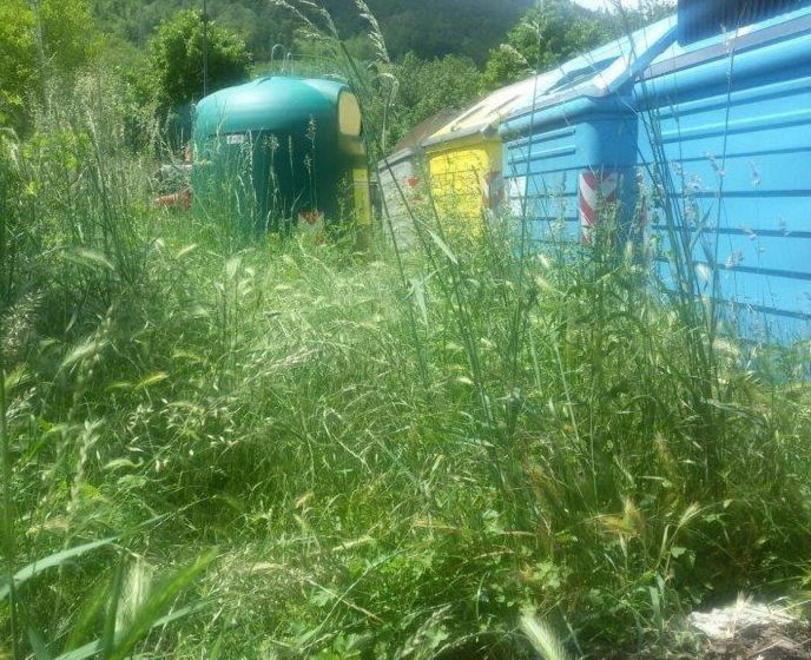 Erba alta in strade e cimitero dal Comune nessuno si muove 