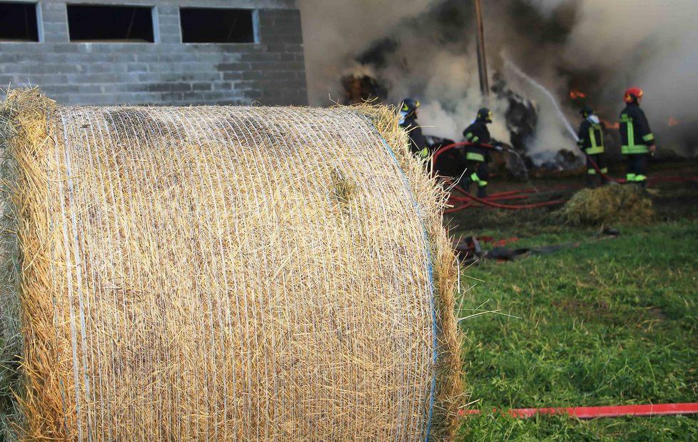 Fiamme a Canali, a fuoco 400 rotoballe 