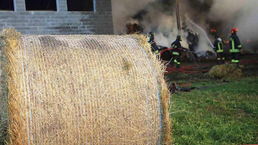 Fiamme a Canali, a fuoco 400 rotoballe