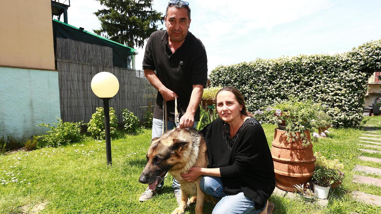 Famiglia salvata dal cane nella casa in fiamme a Montelupo
