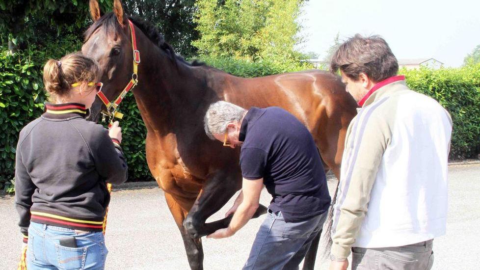 Non ammessi 5 cavalli, controlli selettivi al Palio