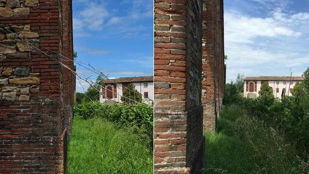 I tiranti utilizzati per sostenere i filari delle viti sono spariti dopo la segnalazione del Tirreno