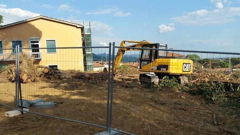 Abbattuti gli alberi nel parco dell'ex ristorante Unopiù di Pieve a Nievole