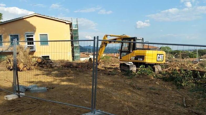 Abbattuti gli alberi nel parco dell'ex ristorante Unopiù di Pieve a Nievole