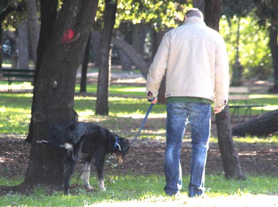Un cane con il suo padrone