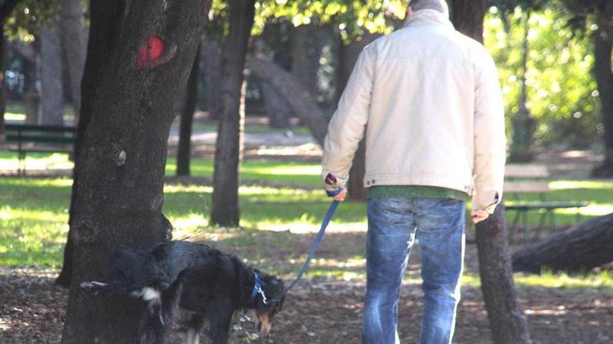 Un cane con il suo padrone