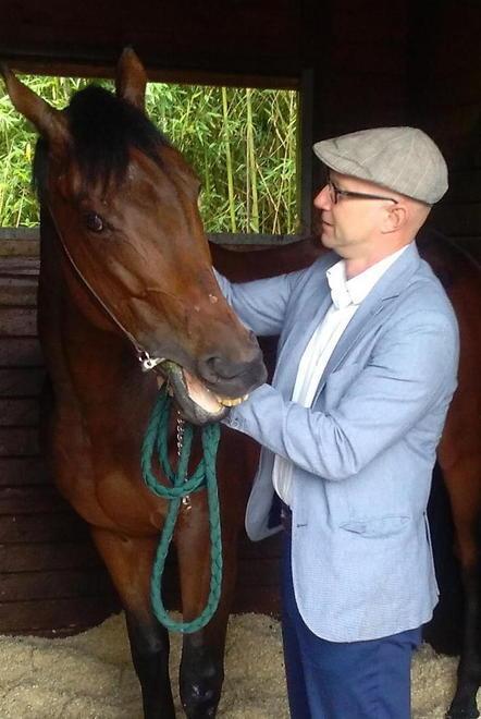 È tornato a casa il cavallo caduto in Buca