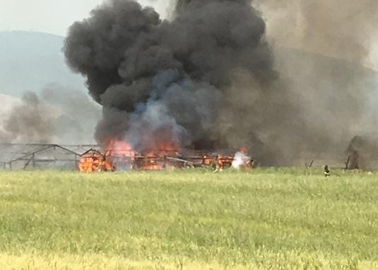 Serre distrutte da un incendio