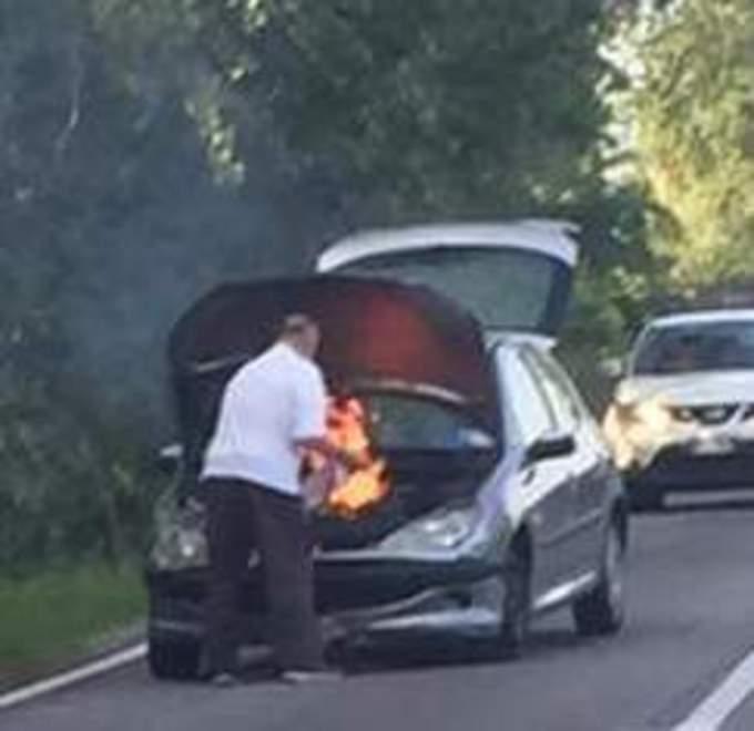 Auto va a fuoco mentre percorre la Cardinala 