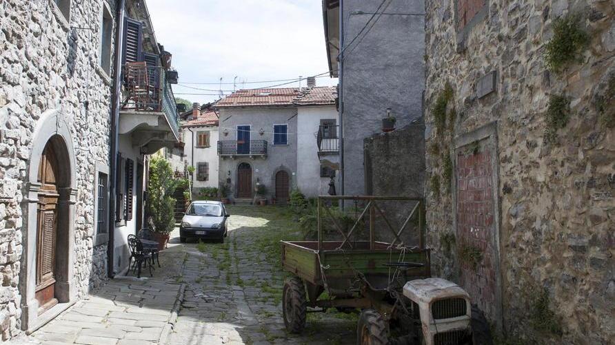 Auto in fiamme, cani e gatti uccisi nel paese fantasma