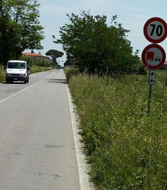Divieto di sorpasso riga continua e erba troppo alta 