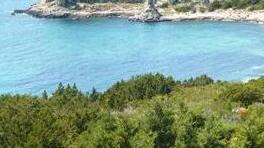 Scoperta a Pianosa una necropoli dell’età neolitica