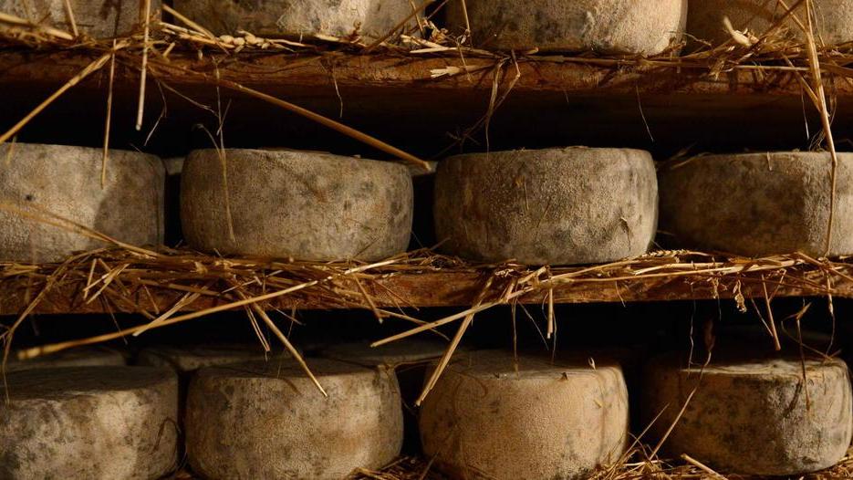 Spacciano per camaioresi i formaggi dell’Amiata