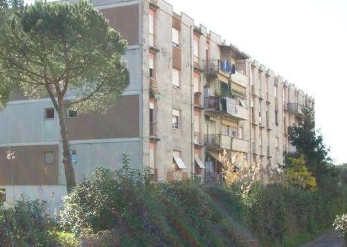 Abusivi nelle case popolari, 23 denunce 