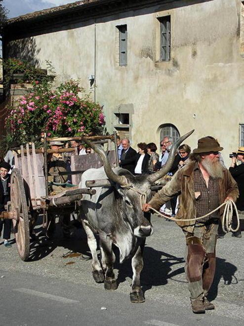Il gruppo Novecento chiamato dalla Rai per scene su D’Annunzio
