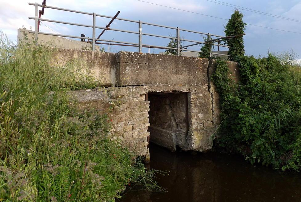 L’obiettivo di Grossi: salvare padule e lago
