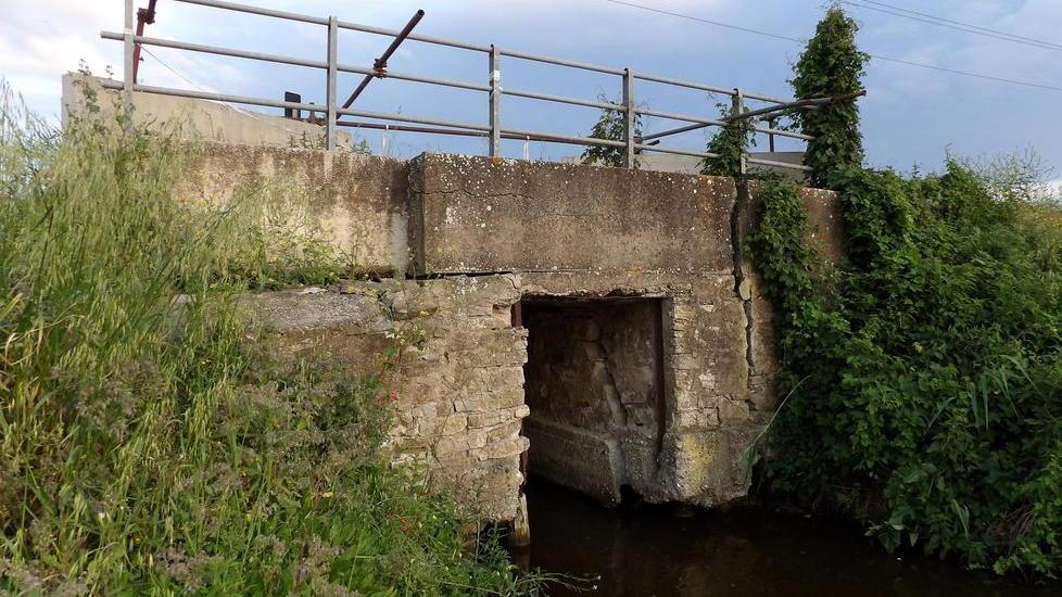 L’obiettivo di Grossi: salvare padule e lago