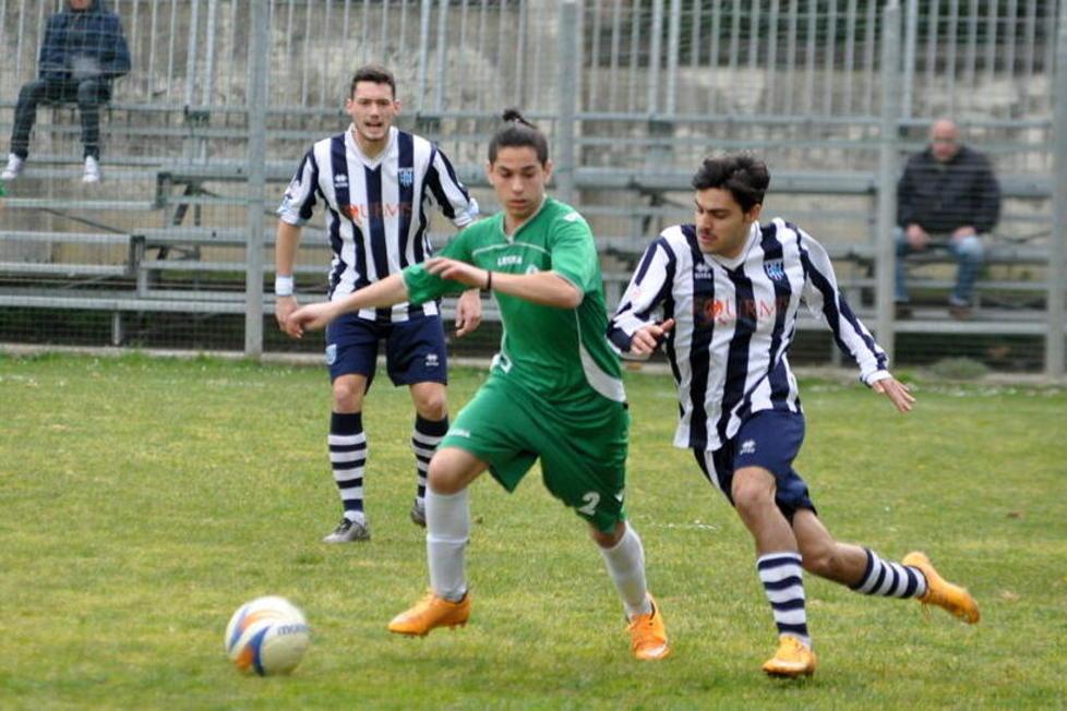 Progetto Rosignano, hanno aderito all’appello 40 aziende 
