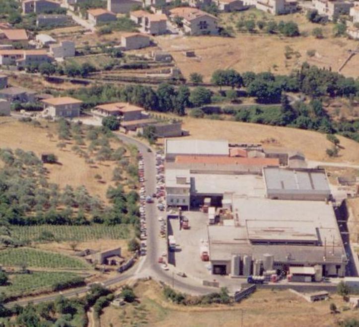 Dai pascoli sardi a New York: la sfida della famiglia Pinna ai mercati dell’era globale 