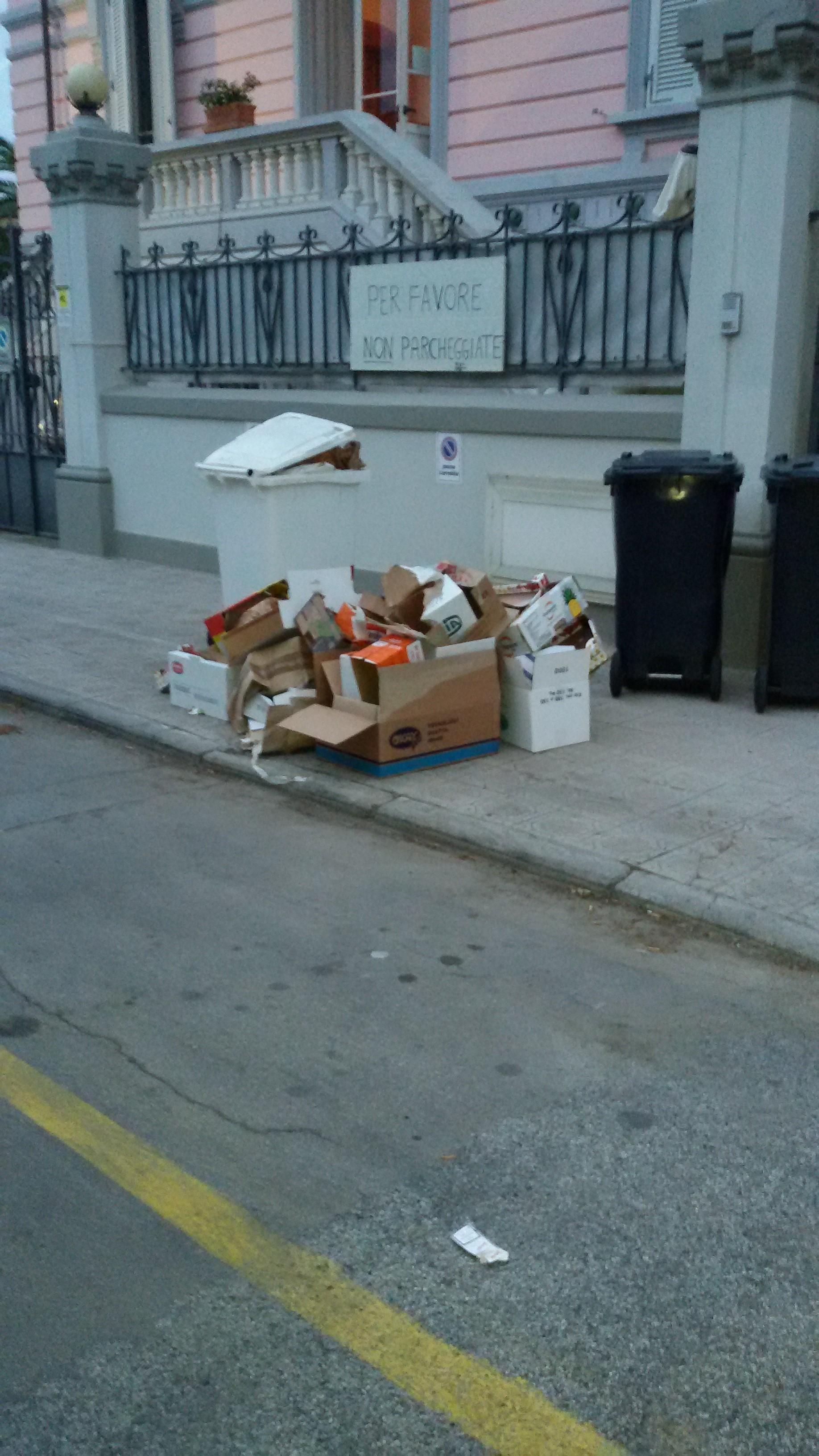 Carta e cartone in strada a Lido