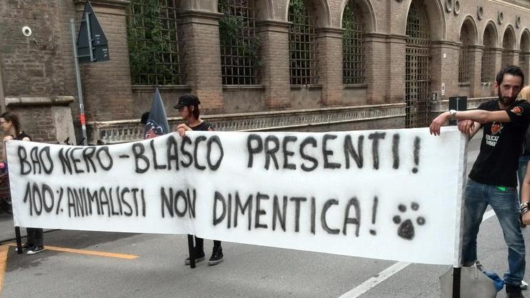 Gli animalisti ‘gufano’ in silenzio e se ne vanno contenti