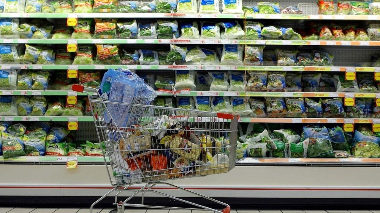 Carrello della spesa alimentare in lieve aumento