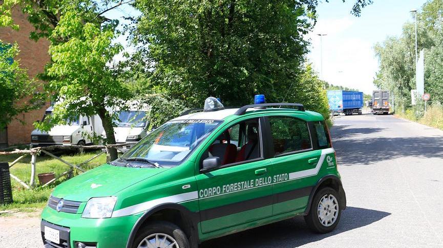 Rifiuti, blitz della Dda