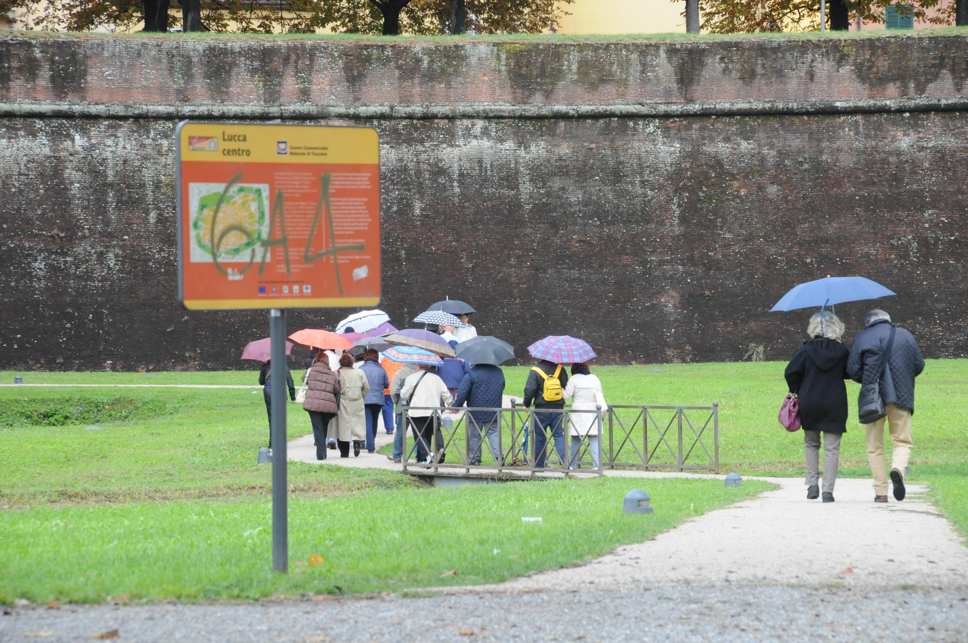 Pioggia e temporali, scatta l'allerta meteo