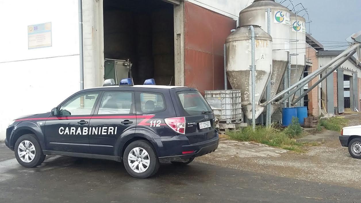 Agricoltore cade mentre ripara le rotoballe dalla pioggia, ferito