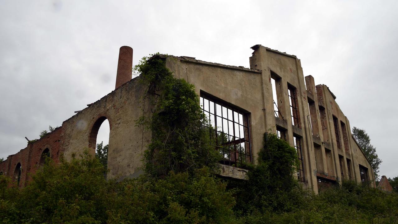 I resti della fornace lungo la via Vecchia di Pontedera (foto Franco Silvi)