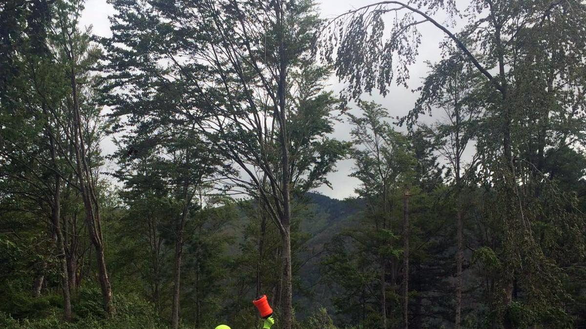 Montecreto,Escursionista cade in montagna e batte la testa, salvata