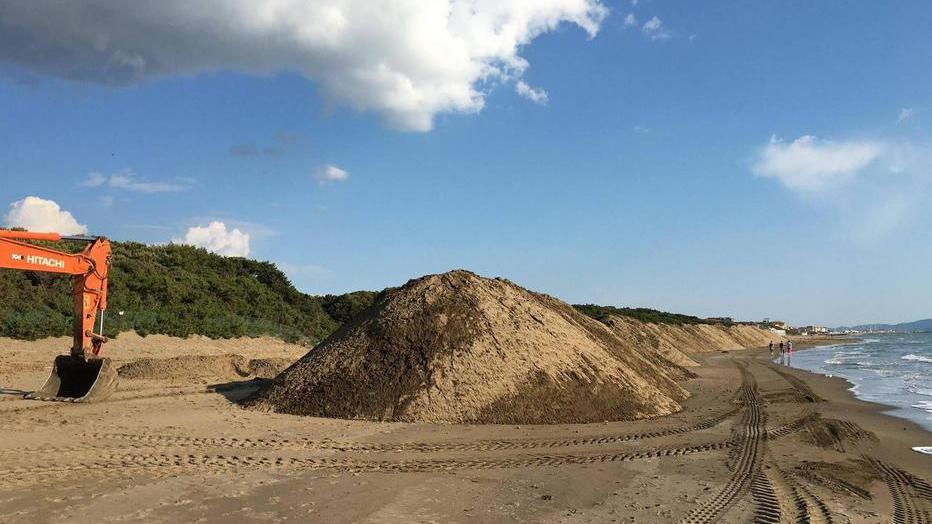 I cumuli di alghe lungo l’arenile