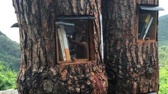 Il bookcrossing arriva a Calci i tronchi di pino ospitano libri