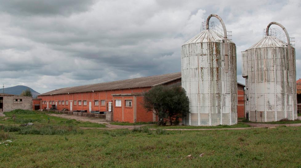 Nove offerte per le aziende agrarie 