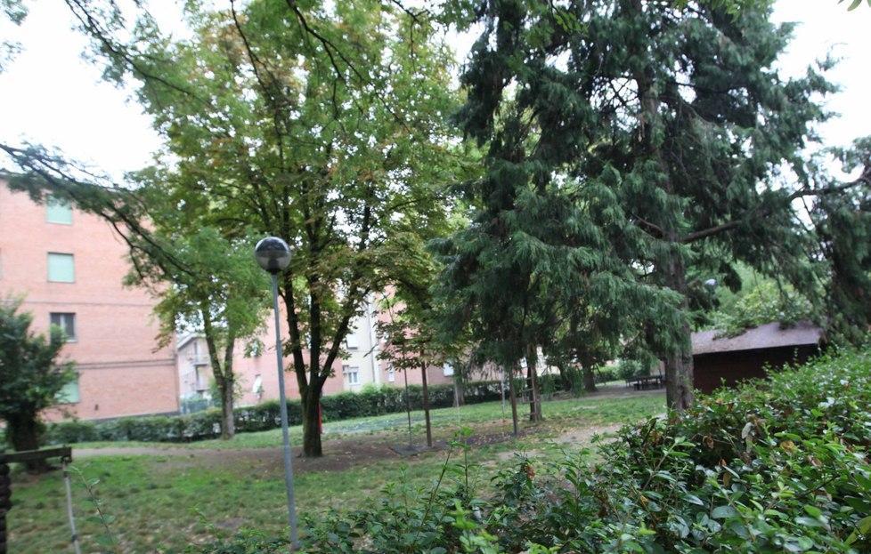 La cura delle aree verdi alle coop sociali 