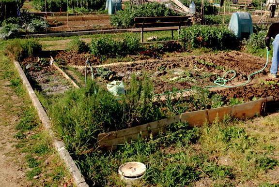 Orti sociali per gli over 56