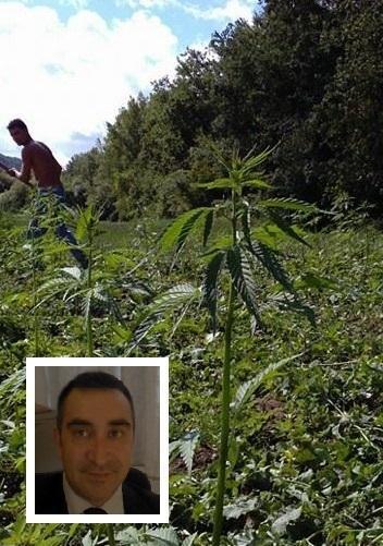 Nasce la filiera corta della Toscana che produce canapa 