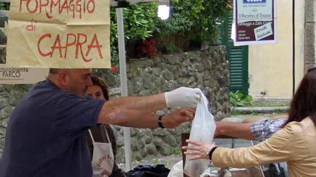 Entra nel vivo la kermesse “Sapori”