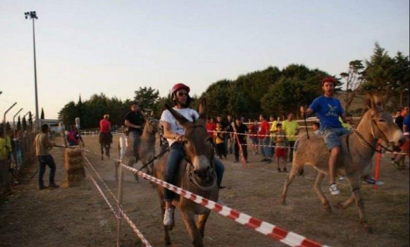 Palio degli Asinelli in rosa: anche le amazzoni in gara