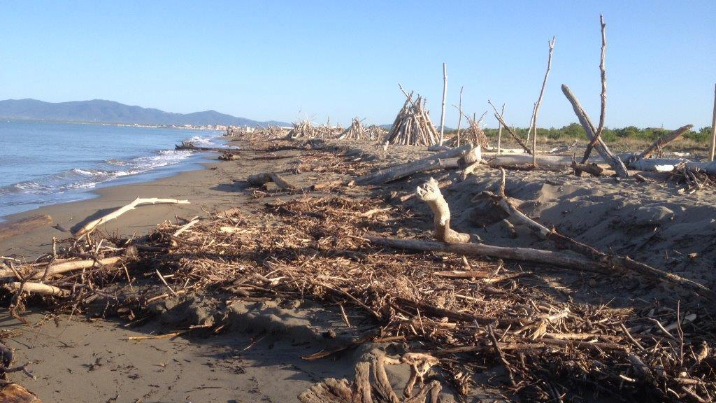 La spiaggia di Principina a Mare sommersa dai tronchi portati dalla piena del 25 agosto 2015