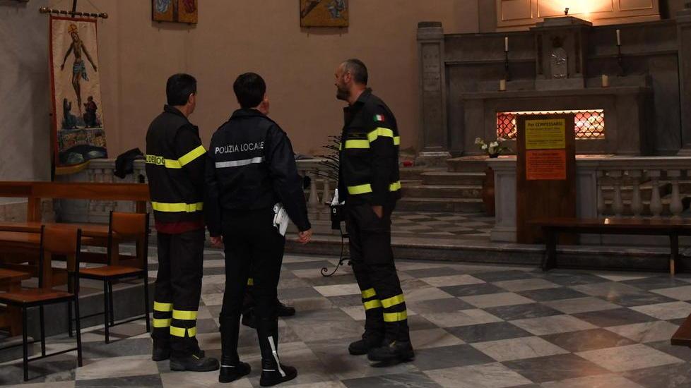 Gatto entra in chiesa e morde il prete
