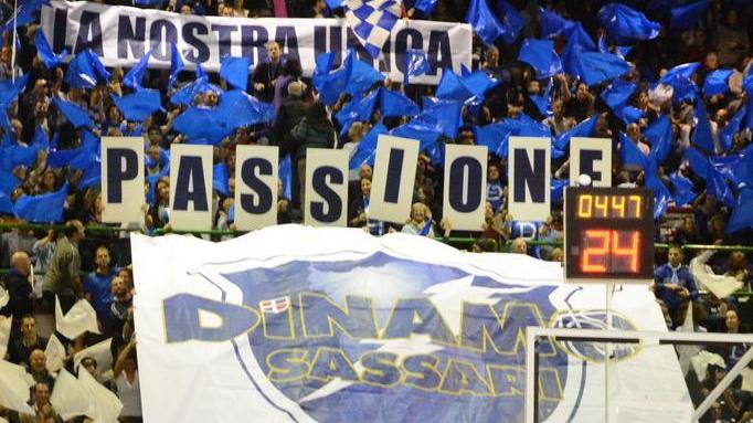 Dinamo, ecco Savanovic David Logan verso l’addio