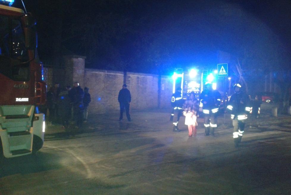 Un gatto nel motore, arrivano i pompieri 
