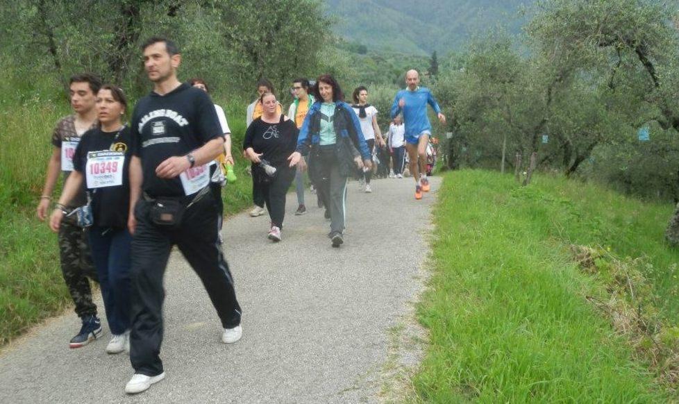 Trofeo podistico lucchese, oggi 600 premiazioni
