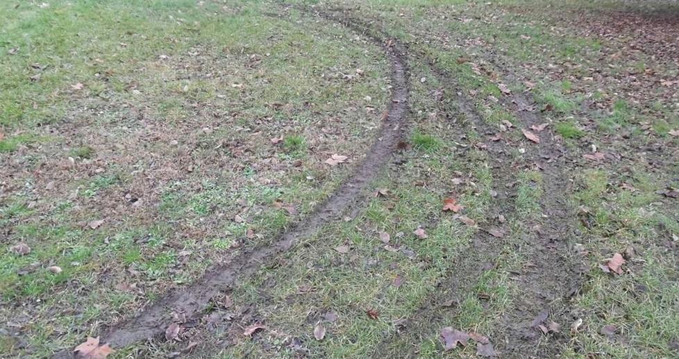 Parco, l’ira del comitato 