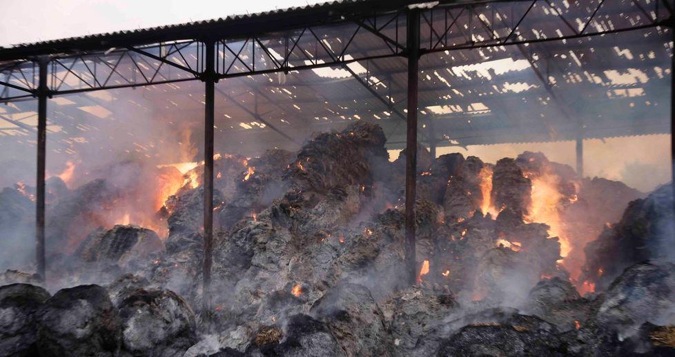 Maxi incendio distrugge mille rotoballe 