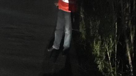 Quercianella, scontro fra auto e cinghiale